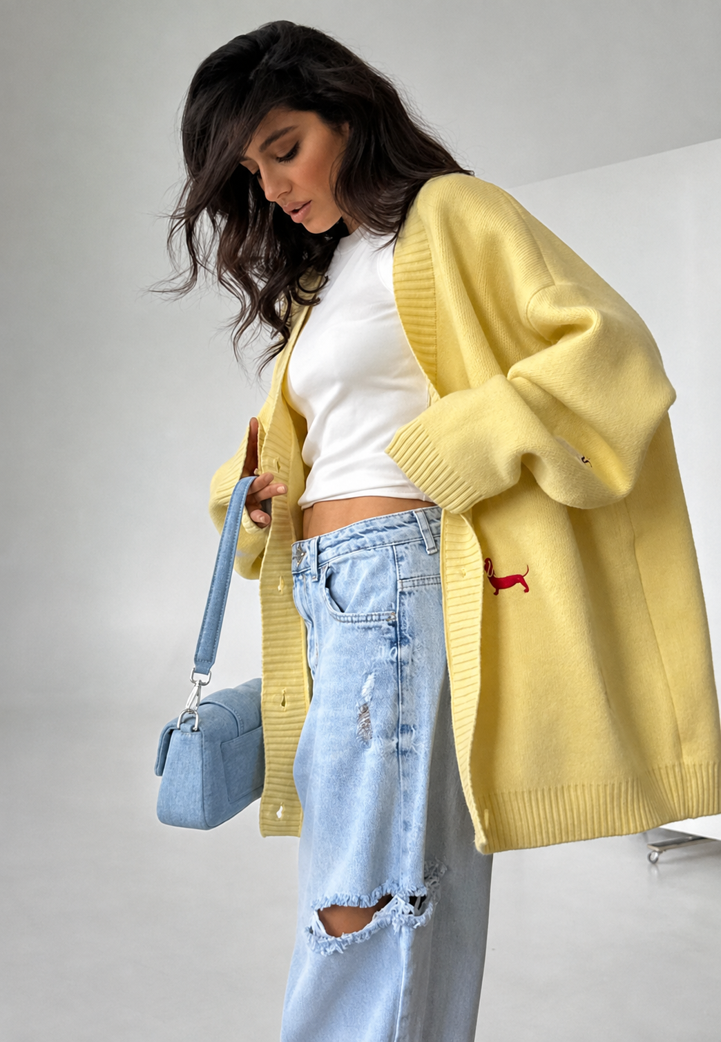 Cárdigan mujer oversize cuello pico botones motivos perro salchicha - Marlis